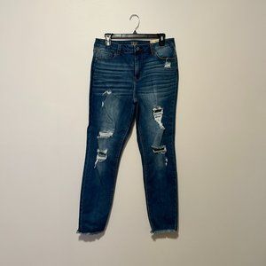 True Craft Light Wash Skinny Ankle Jeans